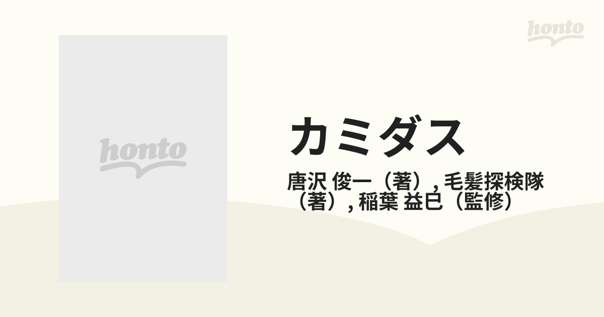 カミダス 現代ヘアーの基礎知識