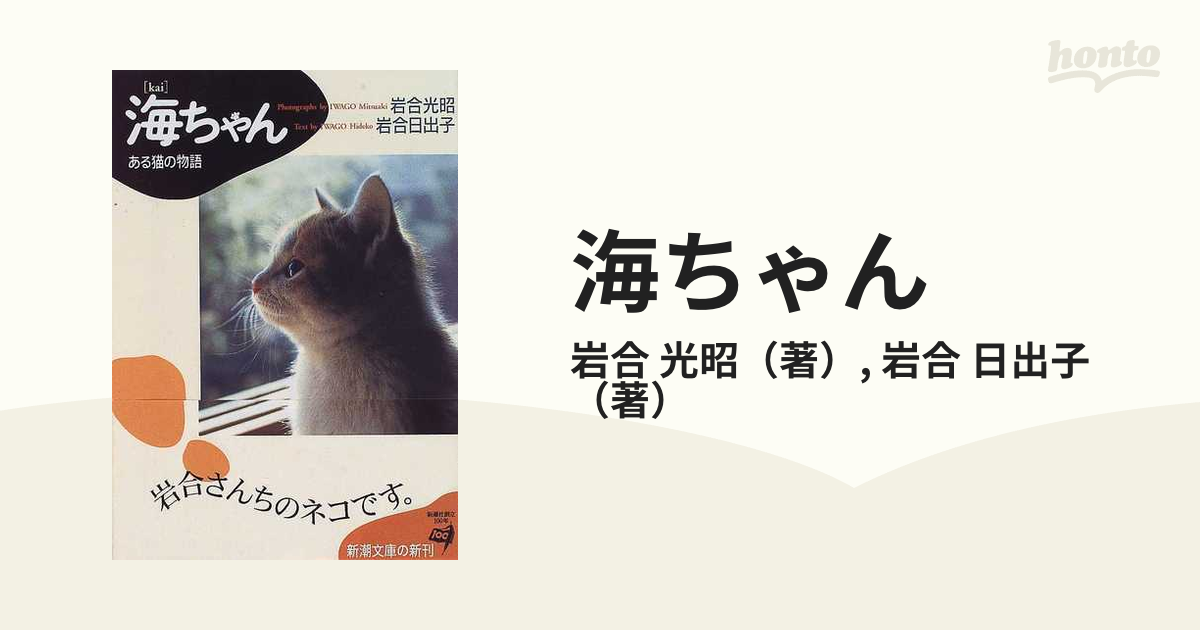 海ちゃん ある猫の物語