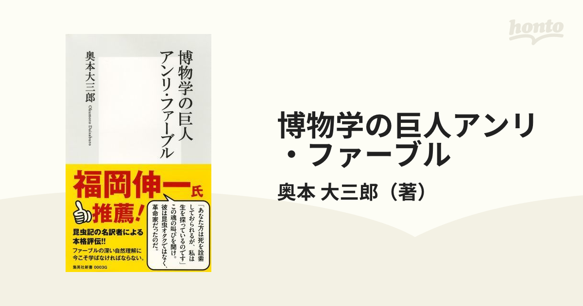 昆虫標本 インド産ハンミョウ ※訳あり - 標本