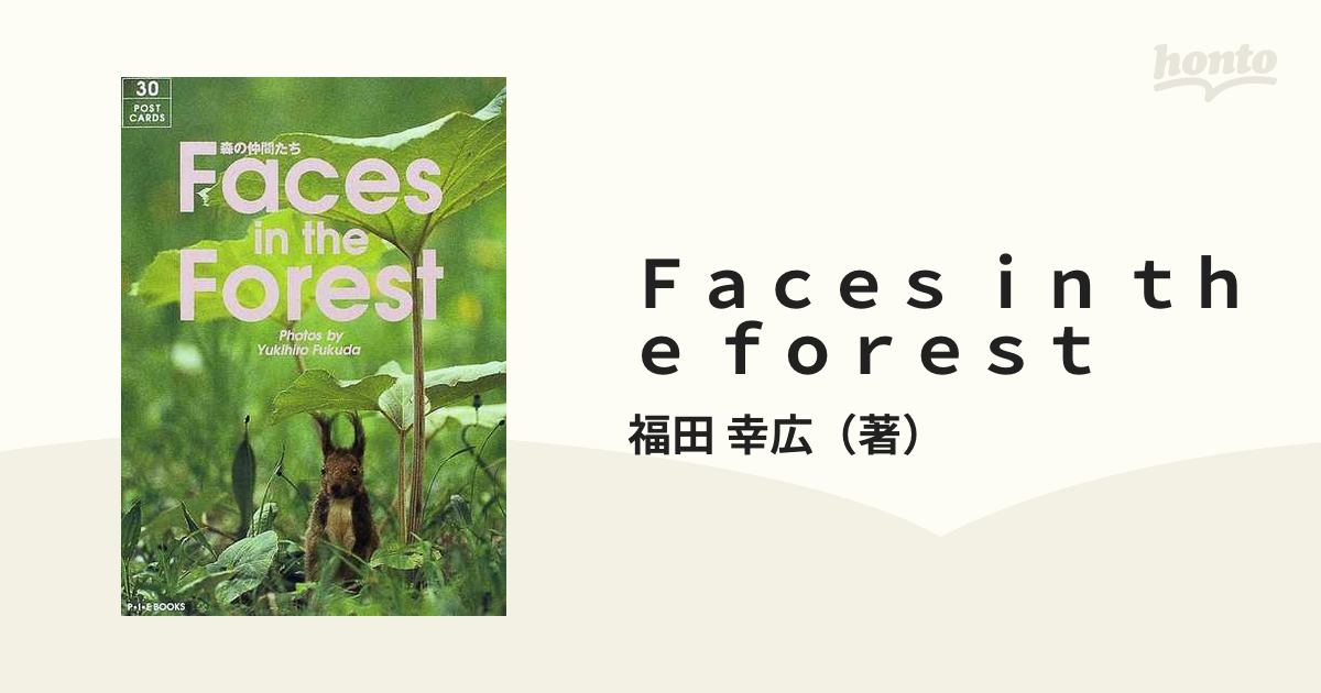 芸術絵画彫刻Faces in the forest 森の仲間たち : postcard b…