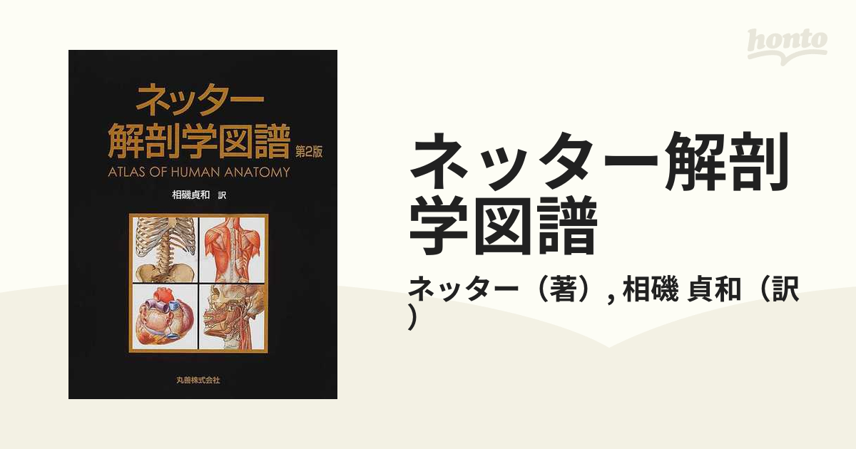 ネッター解剖学図譜の通販/ネッター/相磯 貞和 - 紙の本：honto本の