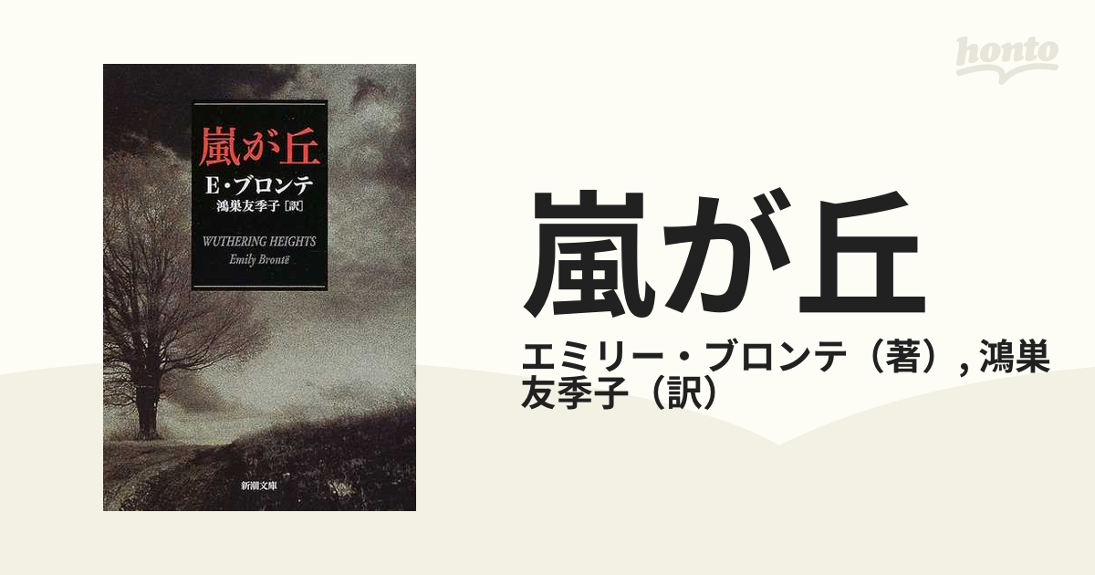 在庫一掃 ☆ 希少価値・絶版本 文学的観点から読み解くエミリ 