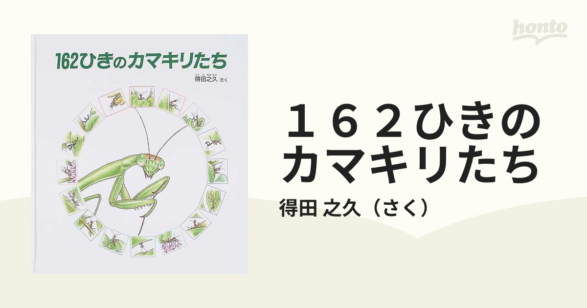 １６２ひきのカマキリたち