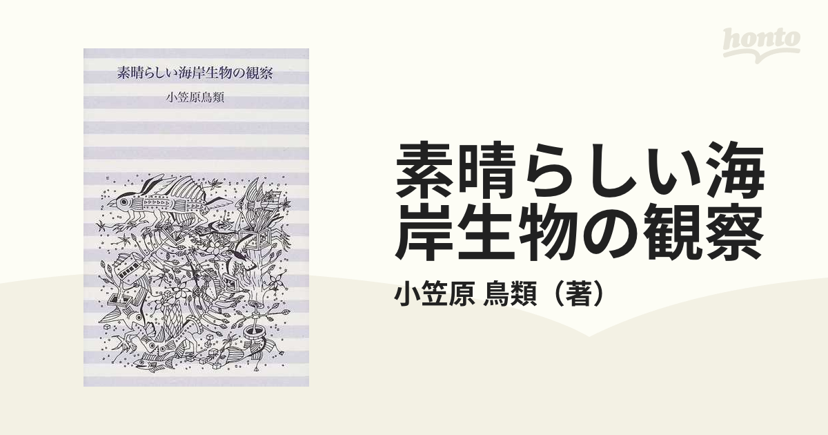 素晴らしい海岸生物の観察