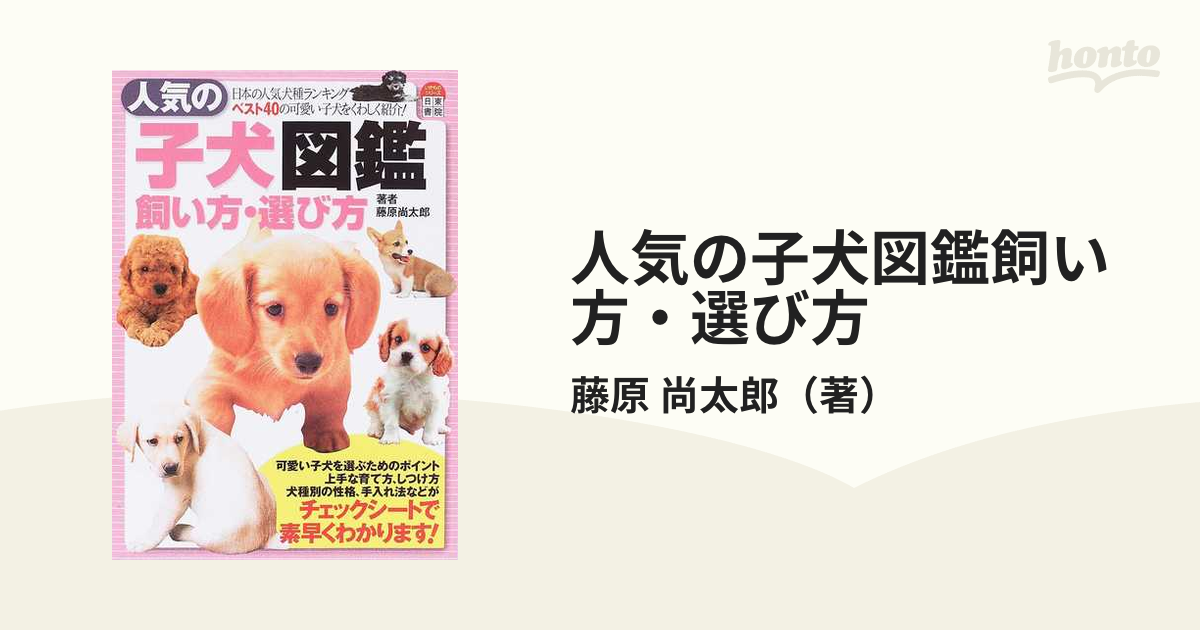 NHK趣味悠々 犬は大事なパートナー 上手な飼い方、しつけ方 [DVD