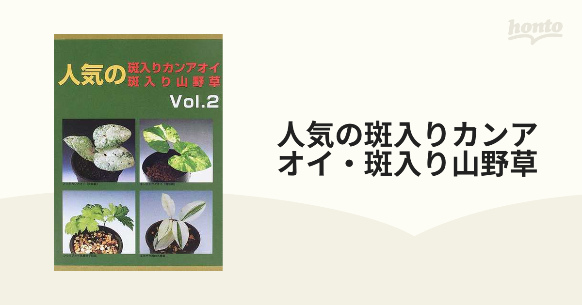 人気の斑入りカンアオイ・斑入り山野草 倉庫 - 趣味・スポーツ・実用