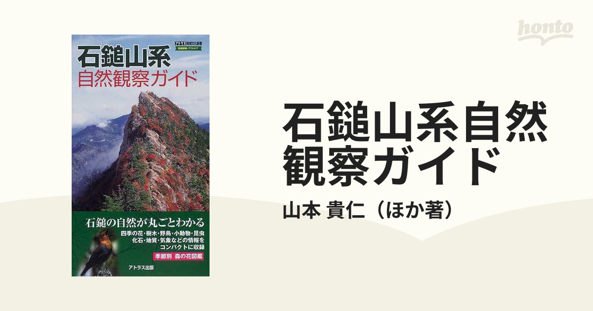 岡村達夫作 石鎚山の夜明け (15号)
