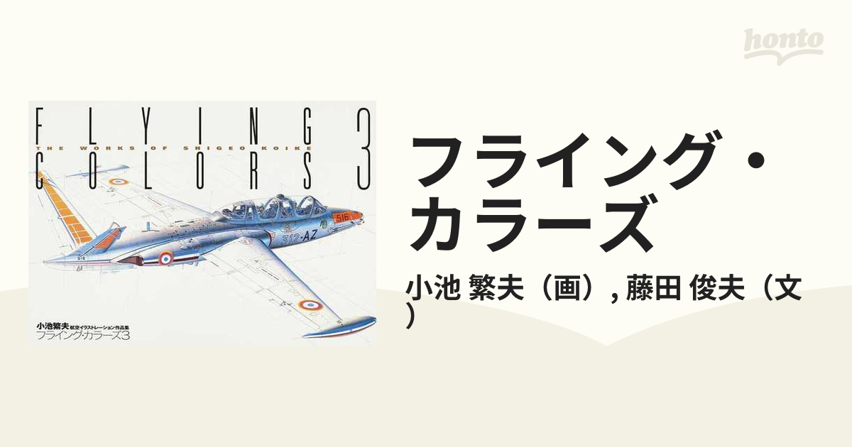 フライオーバー 小池繁夫 航空機 イラスト 作品 - 美術品