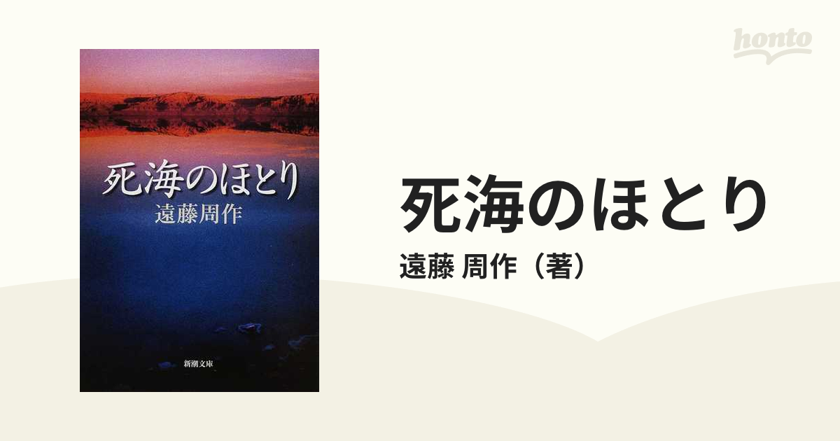 昭和４０年代 チケット レア 貴重品 日比谷 新宿 - 鉄道