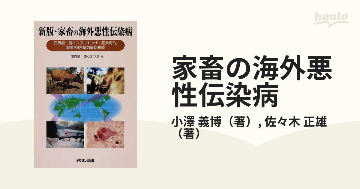 美品！！》《送料無料》☆ 高級♪ 古松 墨 丹青堂監製！！☆ - 書