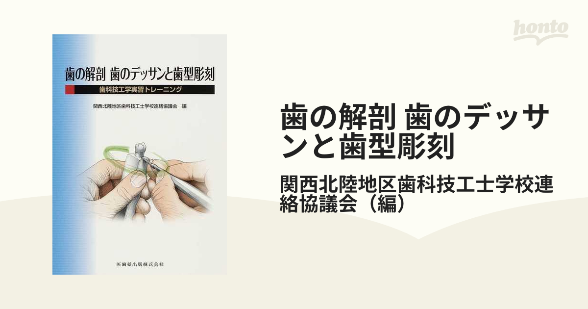 歯の解剖 歯のデッサンと歯型彫刻 歯科技工学実習トレーニング