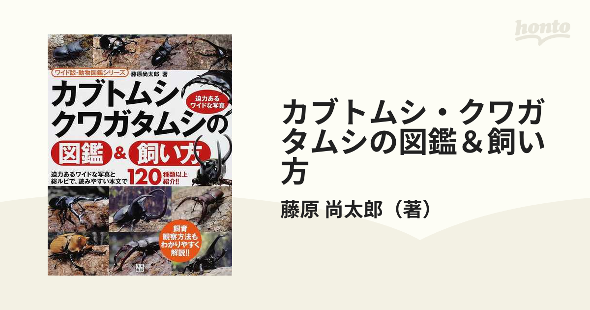 カブトムシ・クワガタムシの図鑑＆飼い方の通販/藤原 尚太郎