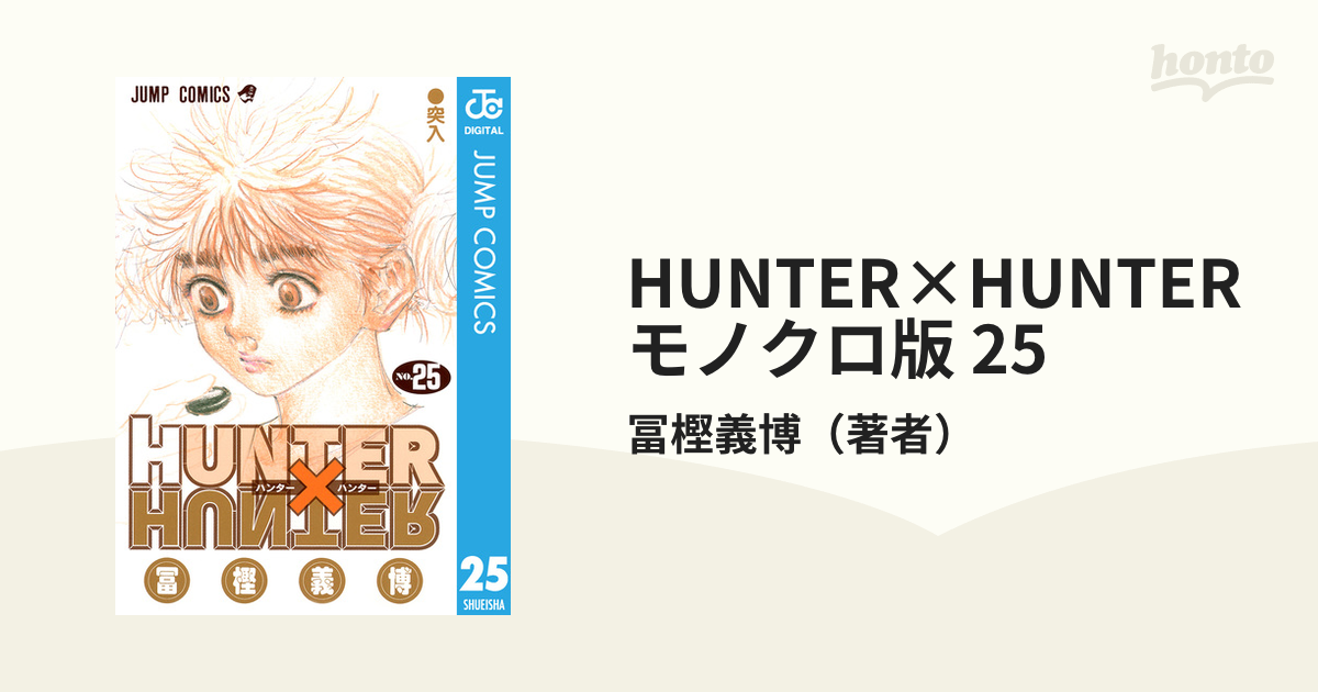 HUNTER×HUNTER モノクロ版 25