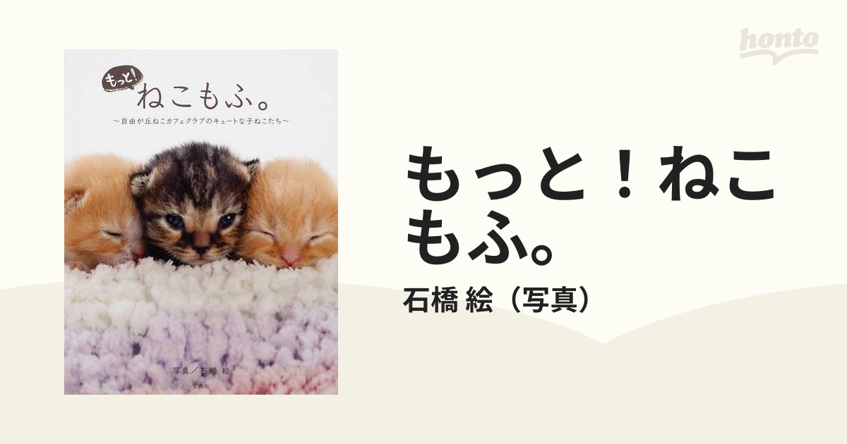 寝こ 無防備すぎるにゃんこ写真集 - アート・デザイン・音楽