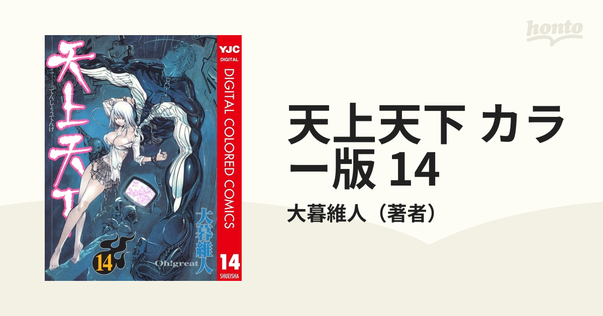 コミック漫画「天上天下 21巻・22巻」2冊セット - 青年漫画