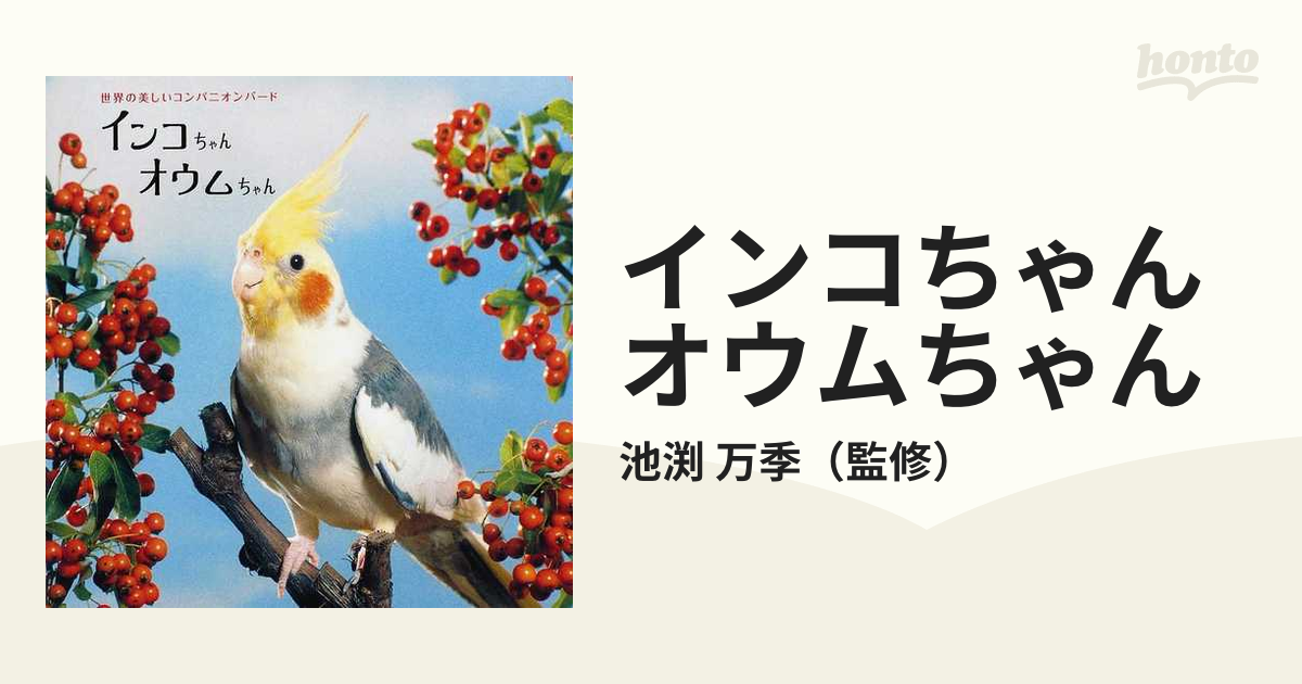 新着世界のオウムインコ - bader.org.tr