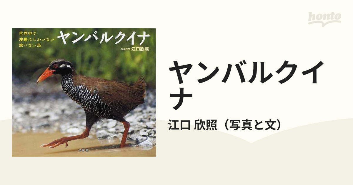 ヤンバルクイナ 世界中で沖縄にしかいない飛べない鳥の通販 江口 欣照 紙の本 Honto本の通販ストア