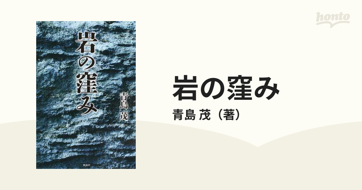 岩の窪み/風詠社/青島茂 - 文学/小説