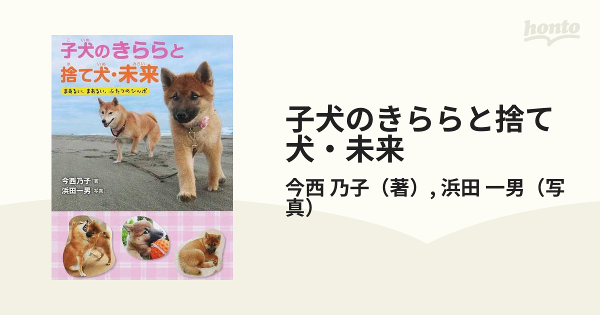 ☆犬と私の10の約束 ☆ ゆれるシッポの子犬・きらら - その他