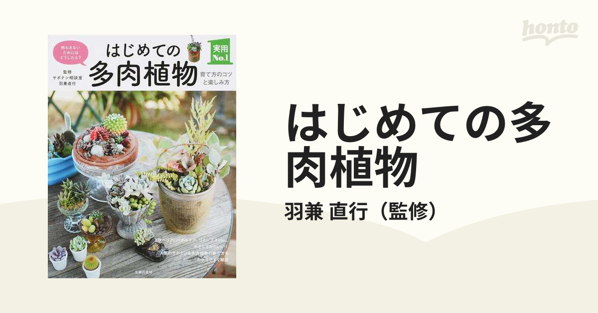 はじめての多肉植物 育て方のコツと楽しみ方 枯らさないためにはどう