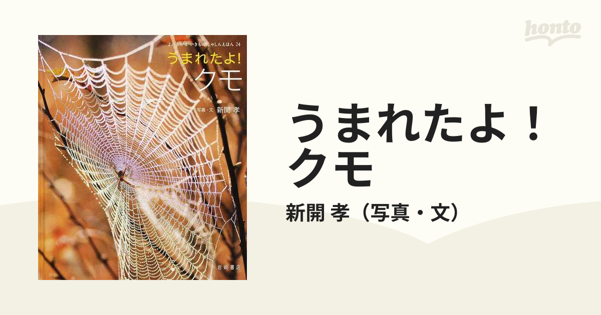 うまれたよ！クモの通販/新開 孝 - 紙の本：honto本の通販ストア