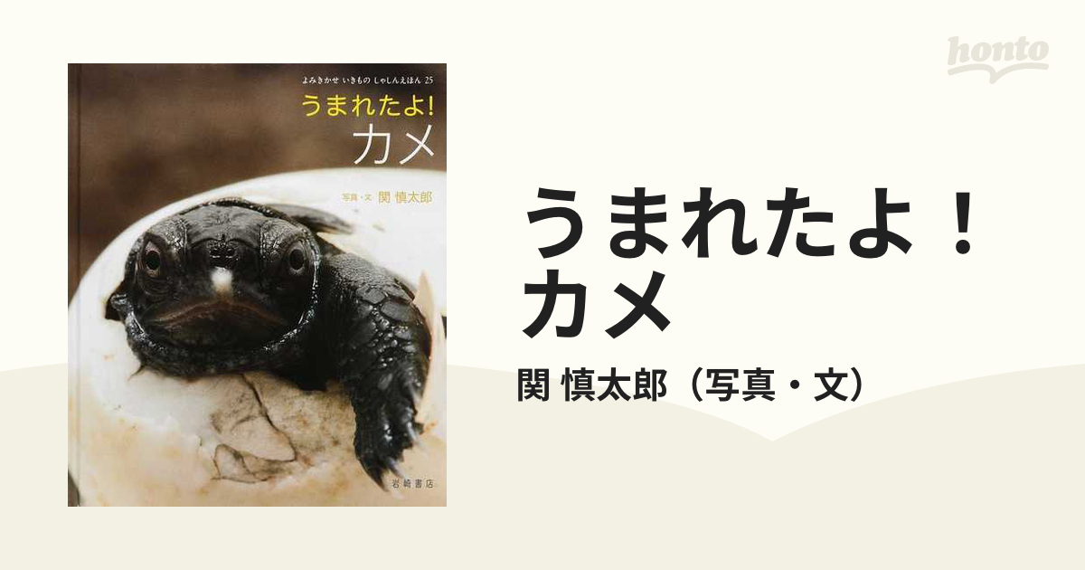 うまれたよ！カメの通販/関 慎太郎 - 紙の本：honto本の通販ストア