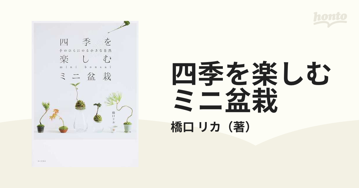 四季を楽しむミニ盆栽 手のひらにのる小さな自然