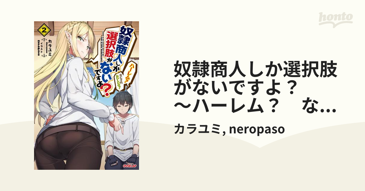 奴隷商人しか選択肢がないですよ？ ～ハーレム？ なにそれおいしいの？～ 2の電子書籍 - honto電子書籍ストア