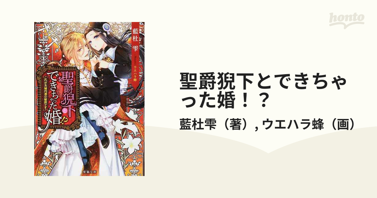 聖爵猊下とできちゃった婚！？ これが夫婦円満の秘訣です！の通販/藍杜