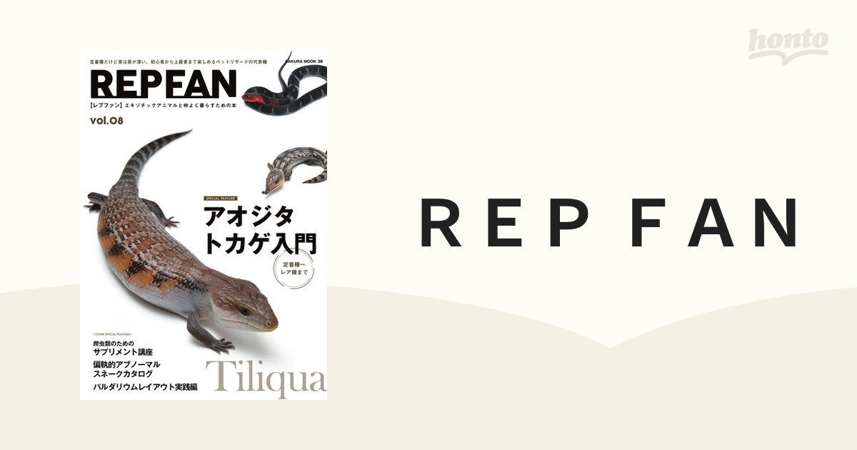 カナヘビ トカゲ 爬虫類 飼育セット - 爬虫類/両生類用品