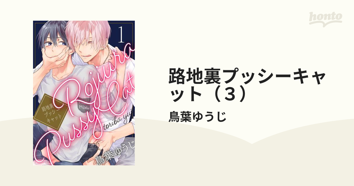 路地裏プッシーキャット 1.2 CD 小冊子 田丸篤志＆阿座上洋平出演CD『路地裏プッシーキャット』9月発売