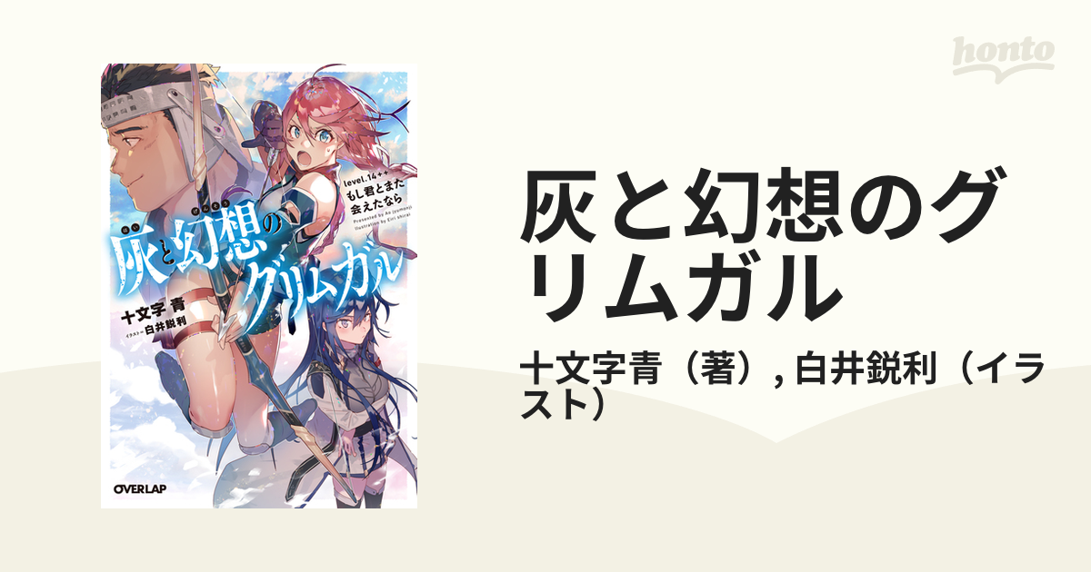 最短発送受付中 灰と幻想のグリムガル 小説 1-19.14+.14++巻セット