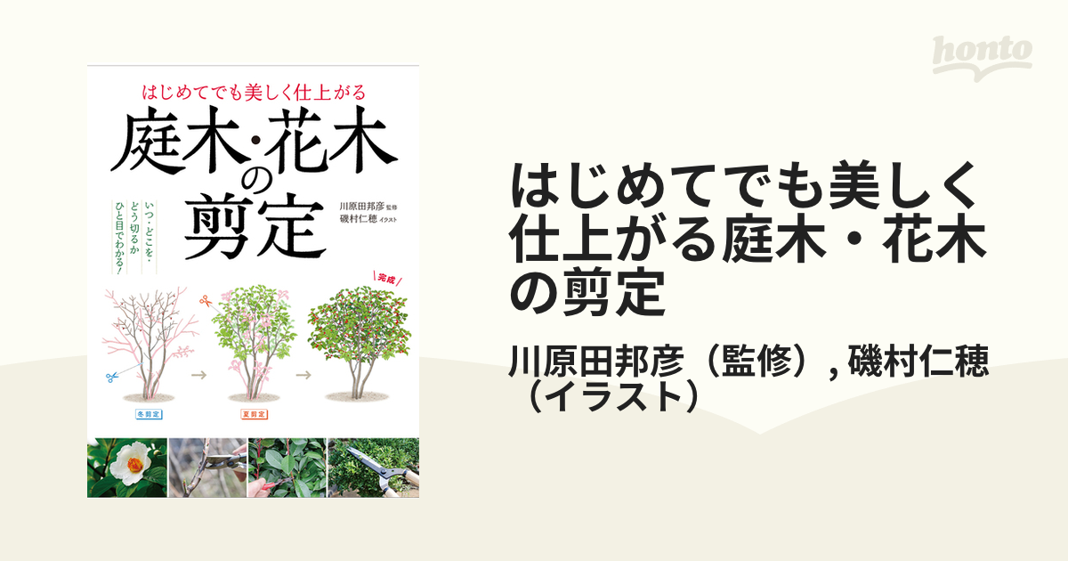 はじめての花木・庭木 小さな庭で楽しむ