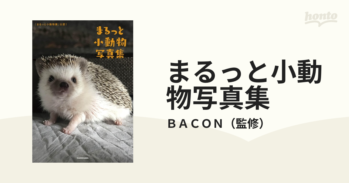 まるっと小動物写真集 まるっと小動物展 公認 の通販 ｂａｃｏｎ 紙の本 Honto本の通販ストア