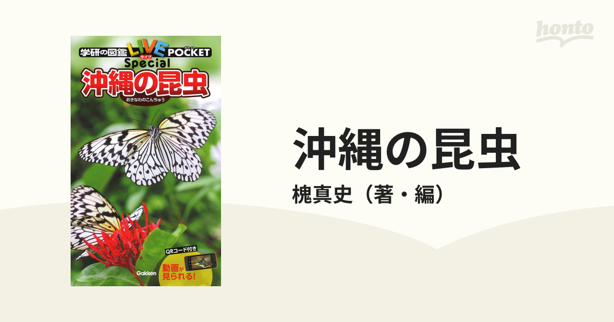 沖縄の昆虫 図鑑 - 地図・旅行ガイド