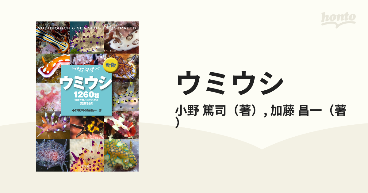 書籍] ウミウシ 特徴がひと目でわかる図解付き 1260種 (ネイチャー ...