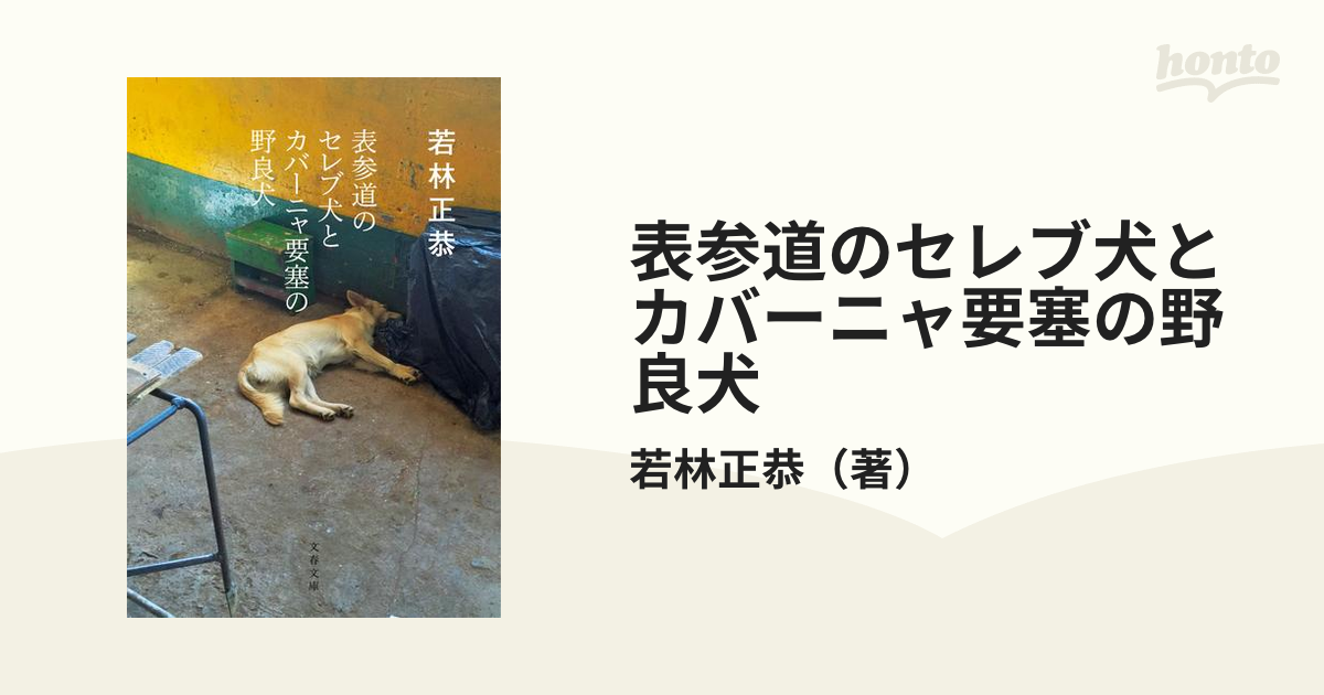 表参道のセレブ犬とカバーニャ要塞の野良犬