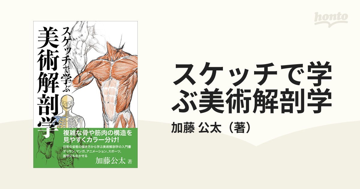 スケッチで学ぶ美術解剖学の通販/加藤 公太 - 紙の本：honto本の通販ストア