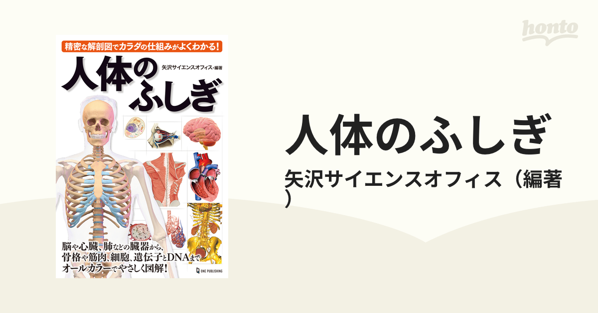 人体のふしぎ 精密な解剖図でカラダの仕組みがよくわかる の通販 矢沢サイエンスオフィス 紙の本 Honto本の通販ストア