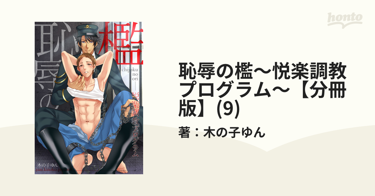 ボーイズラブ小説 恥辱の檻 - 書籍