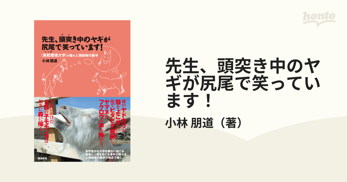 先生、頭突き中のヤギが尻尾で笑っています！