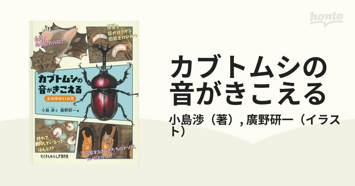 カブトムシの謎をとく 小島 渉 ちくまプリマー新書 昆虫 - 趣味