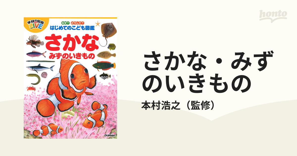 さかなとみずのいきもの 店舗 - その他