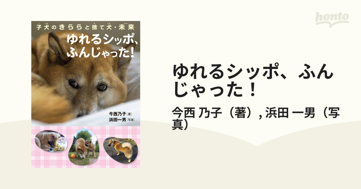 ☆犬と私の10の約束 ☆ ゆれるシッポの子犬・きらら - その他