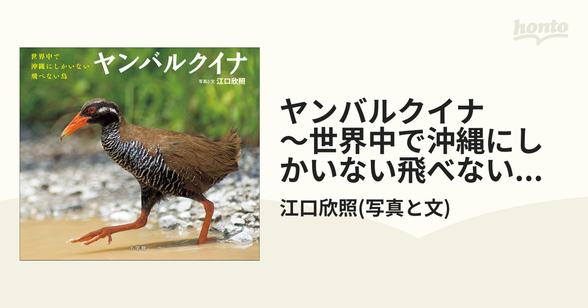 ヤンバルクイナ 世界中で沖縄にしかいない飛べない鳥 小学館の図鑑neoの科学絵本 の電子書籍 Honto電子書籍ストア