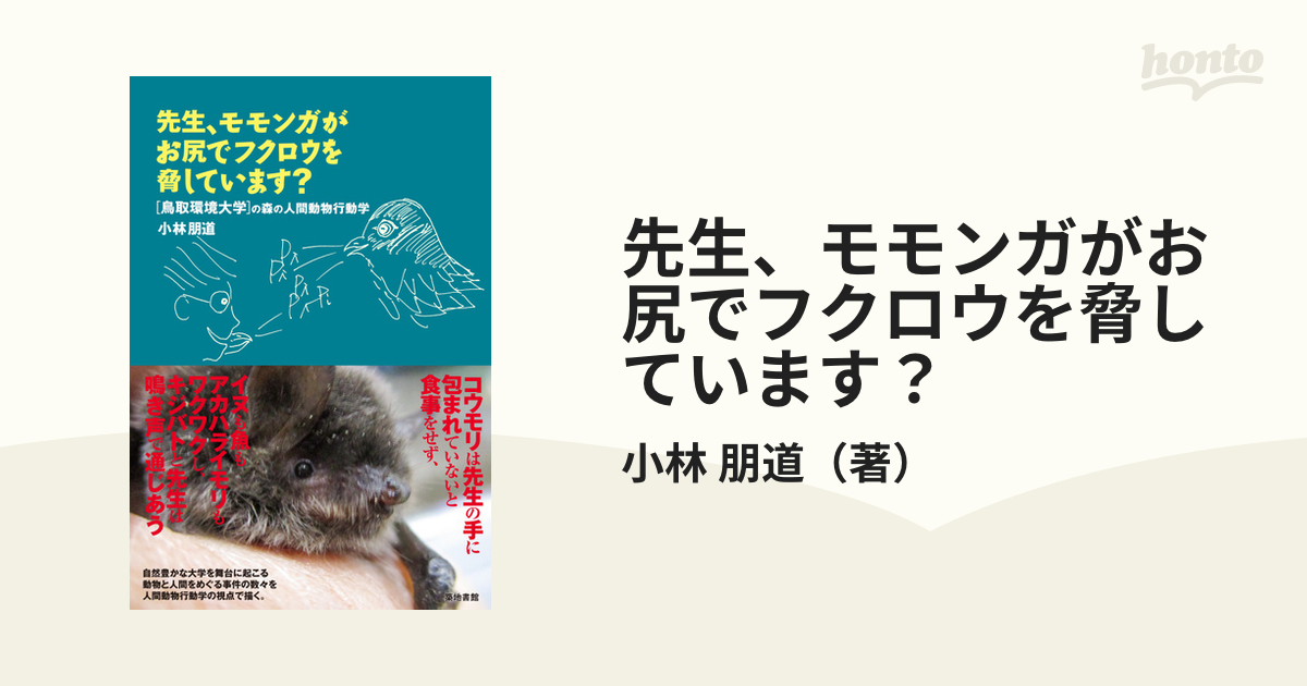 先生、モモンガがお尻でフクロウを脅しています？の通販/小林 朋道