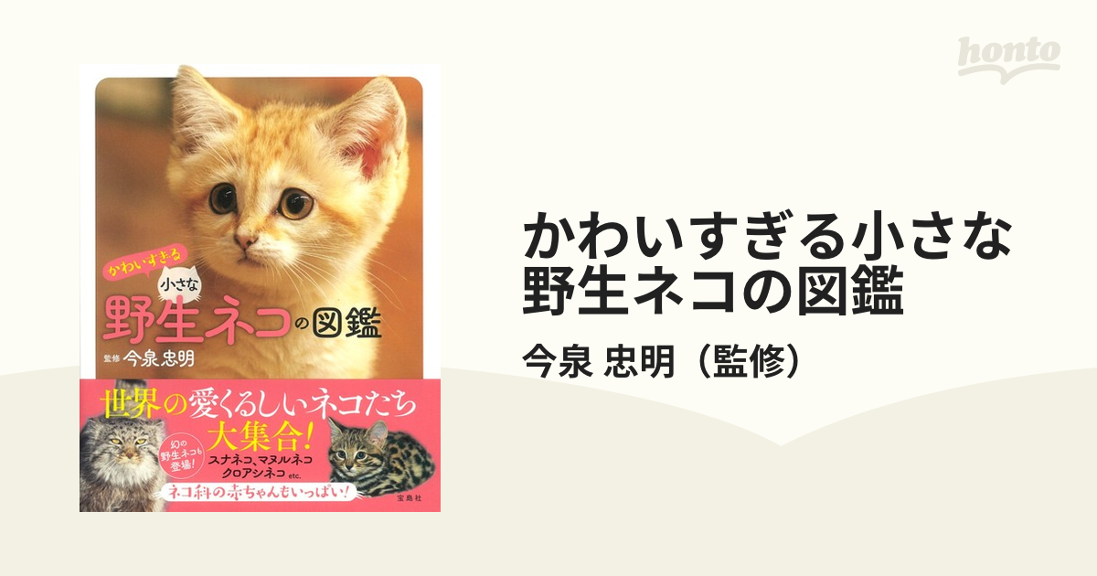 かわいすぎる小さな野生ネコの図鑑の通販 今泉 忠明 紙の本 Honto本の通販ストア