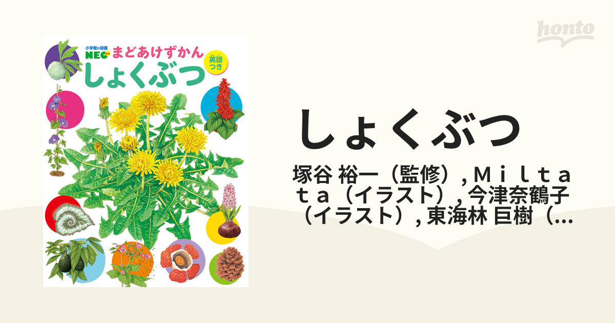 まどあけずかん むし 英語つき - 標本