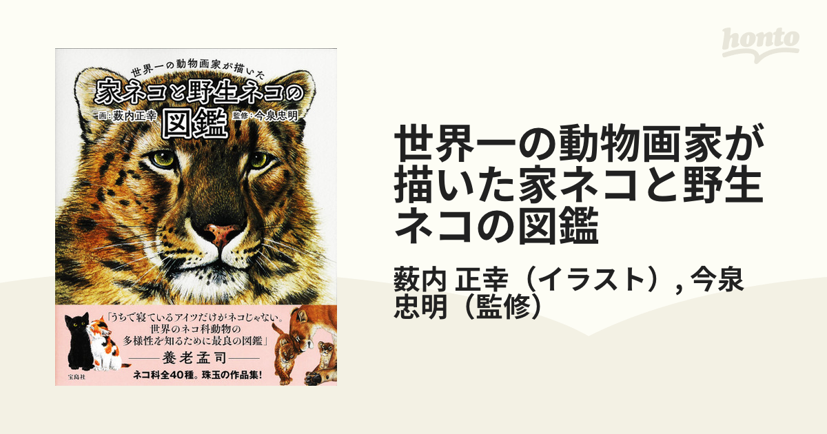 世界一の動物画家が描いた家ネコと野生ネコの図鑑の通販 薮内 正幸 今泉 忠明 紙の本 Honto本の通販ストア