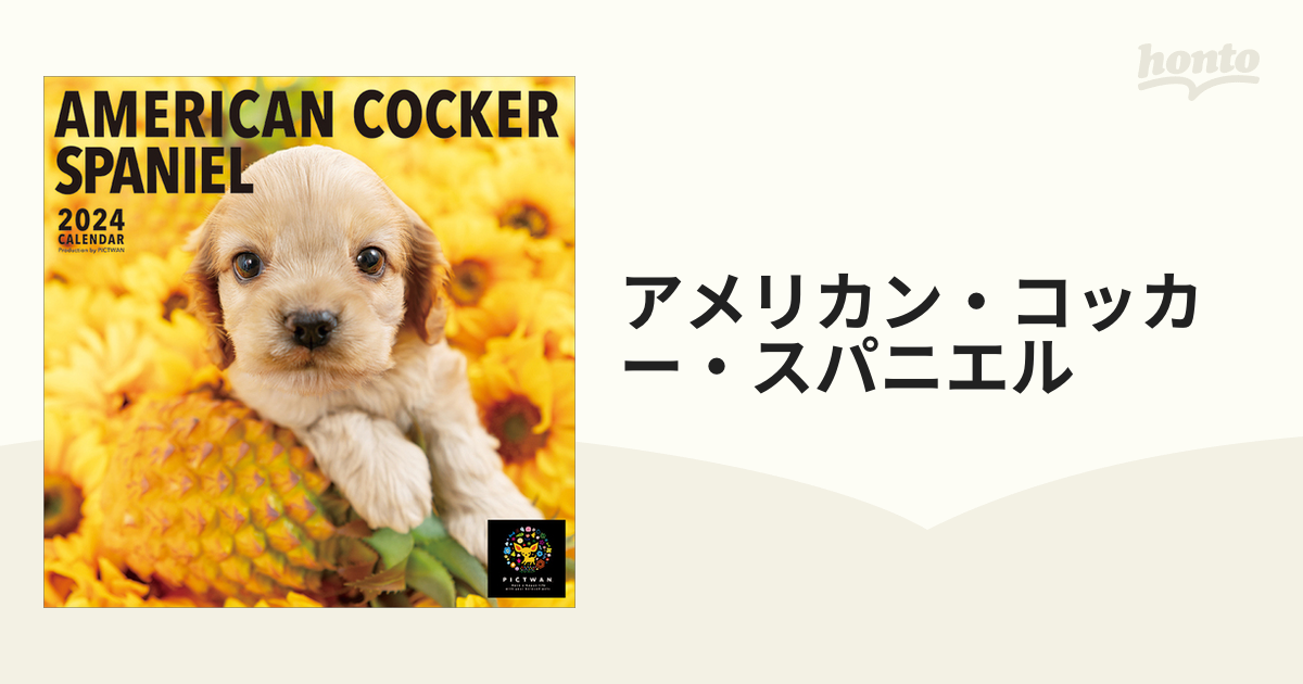 マルチーズ カレンダー PICTWAN 2024年ピクトワン カレンダー 犬 グッズ 動物 いぬ アニマル 壁掛け インターズー